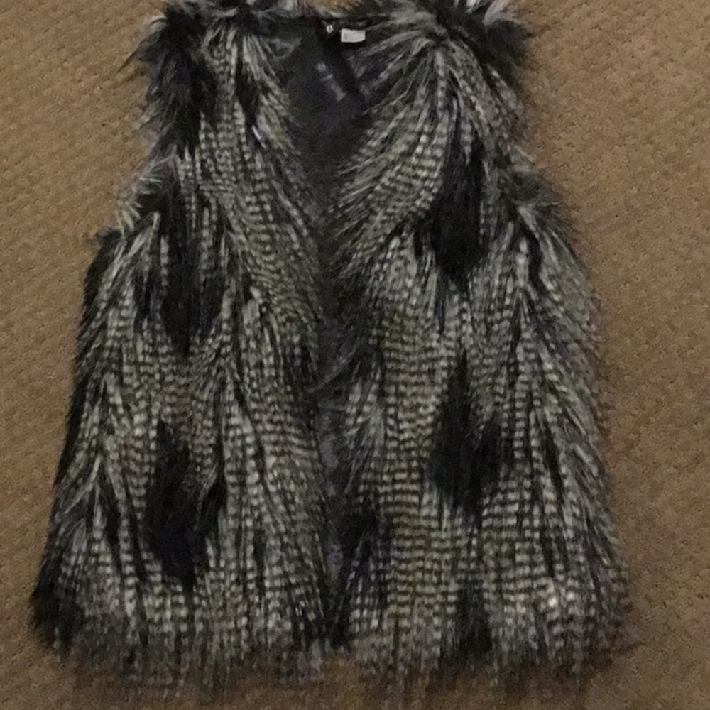 Fur Vest